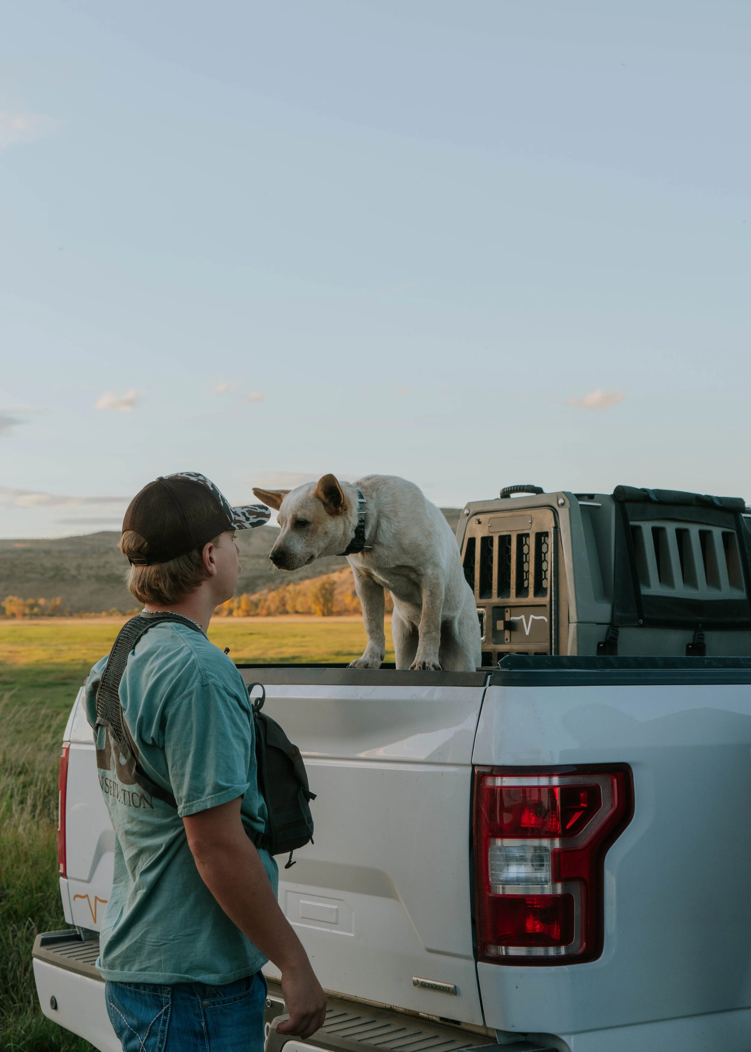 A person in a baseball cap and t-shirt talking to a dog on the back of a pickup truck in an open field.