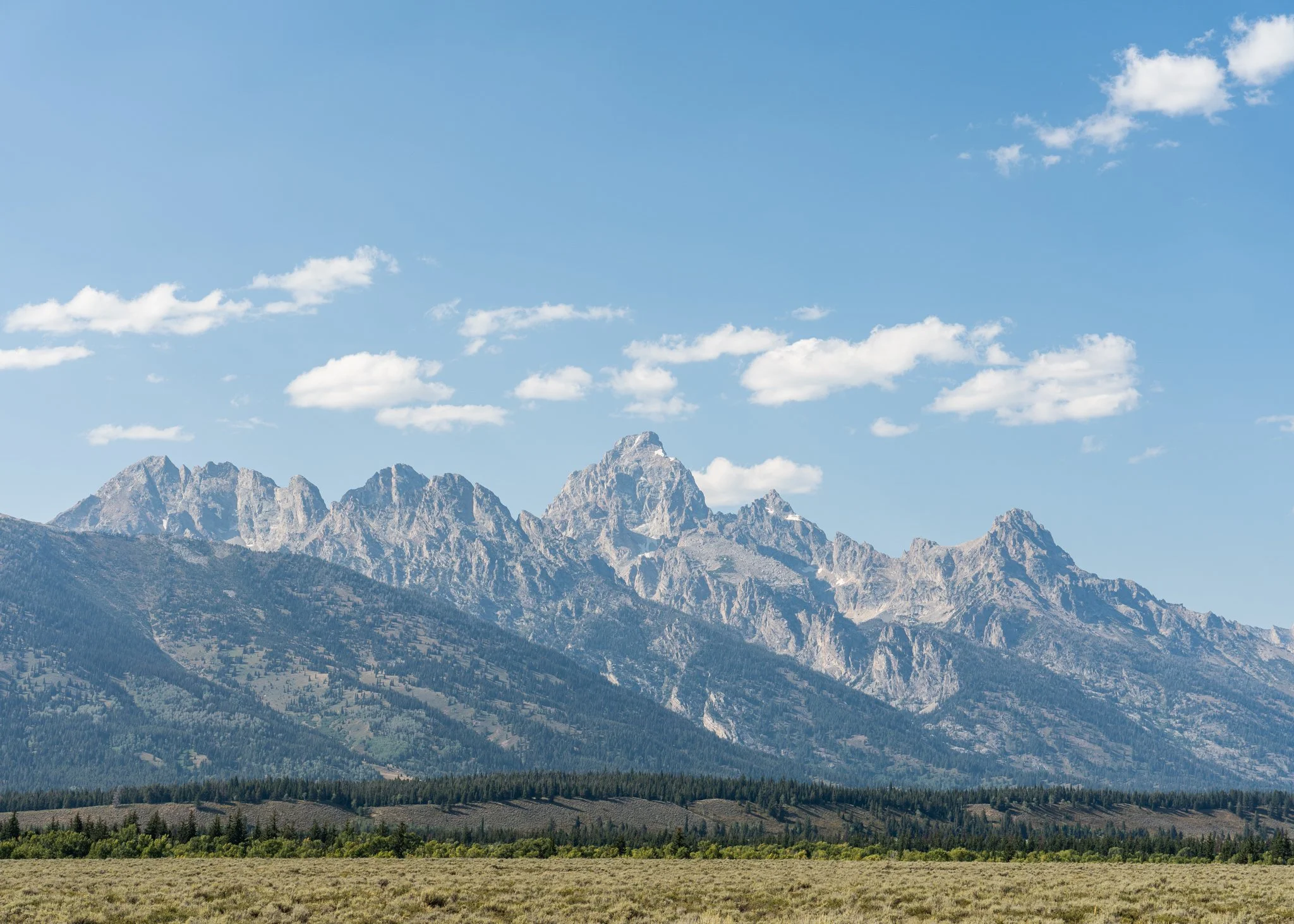 Mountain range with rugged peaks under a blue sky with scattered white clouds, foreground consisting of grassy plain and forested hillside.