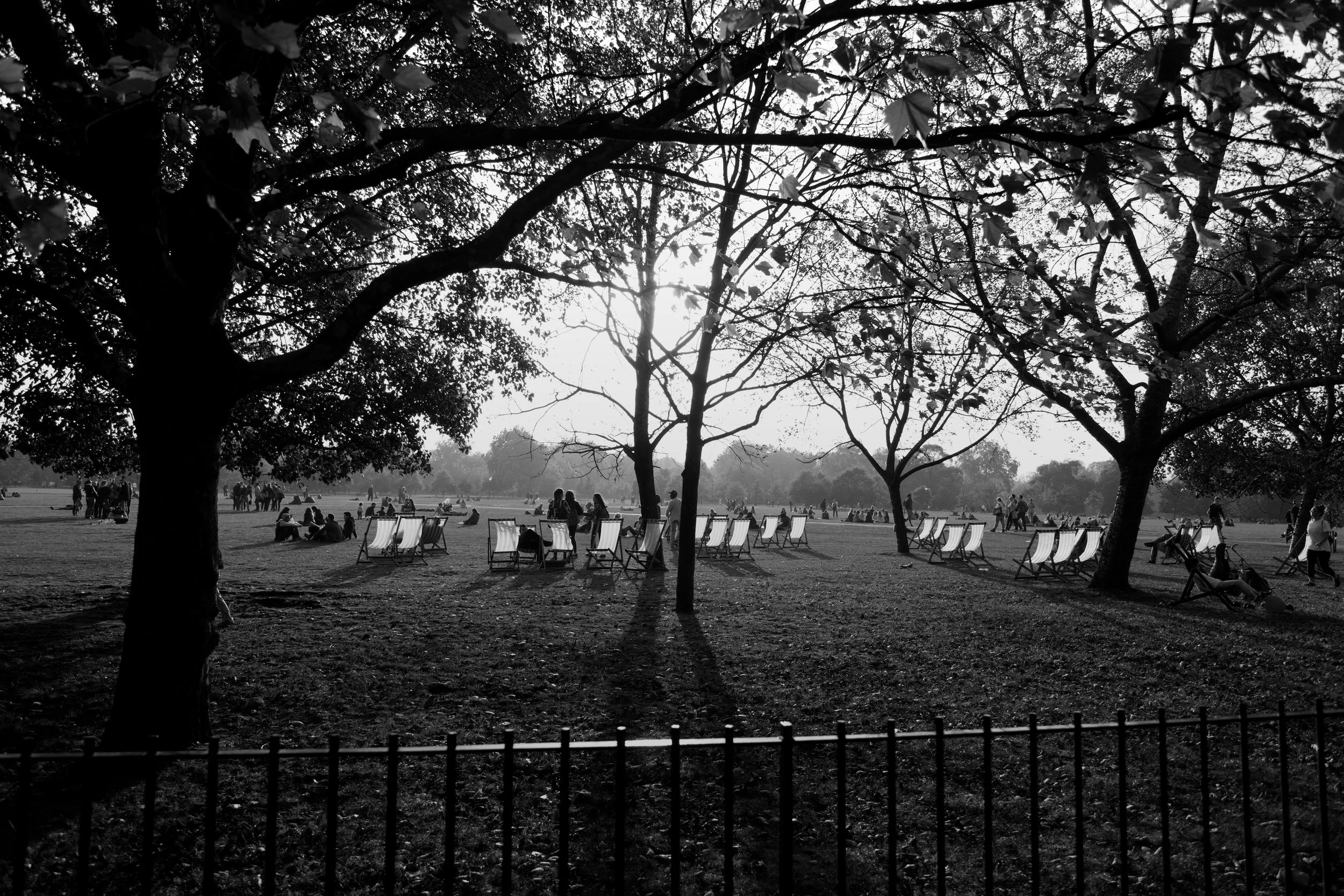 A black and white photo of a park with several trees and benches. People are sitting on the benches and walking around, with the sun shining through the trees.