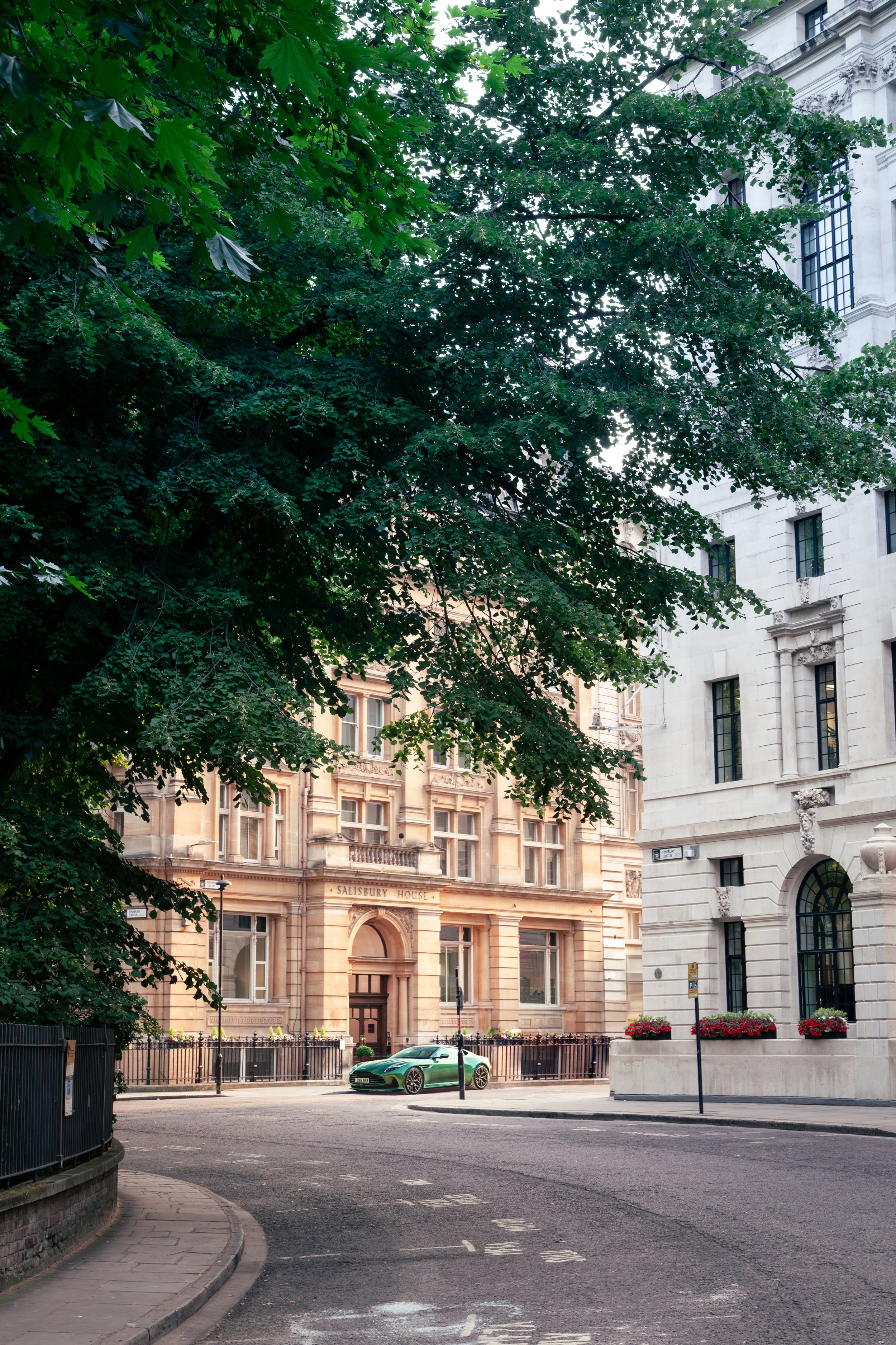 City street view with large leafy tree in the foreground, historic beige and white buildings, and a green sports car parked on the sidewalk.