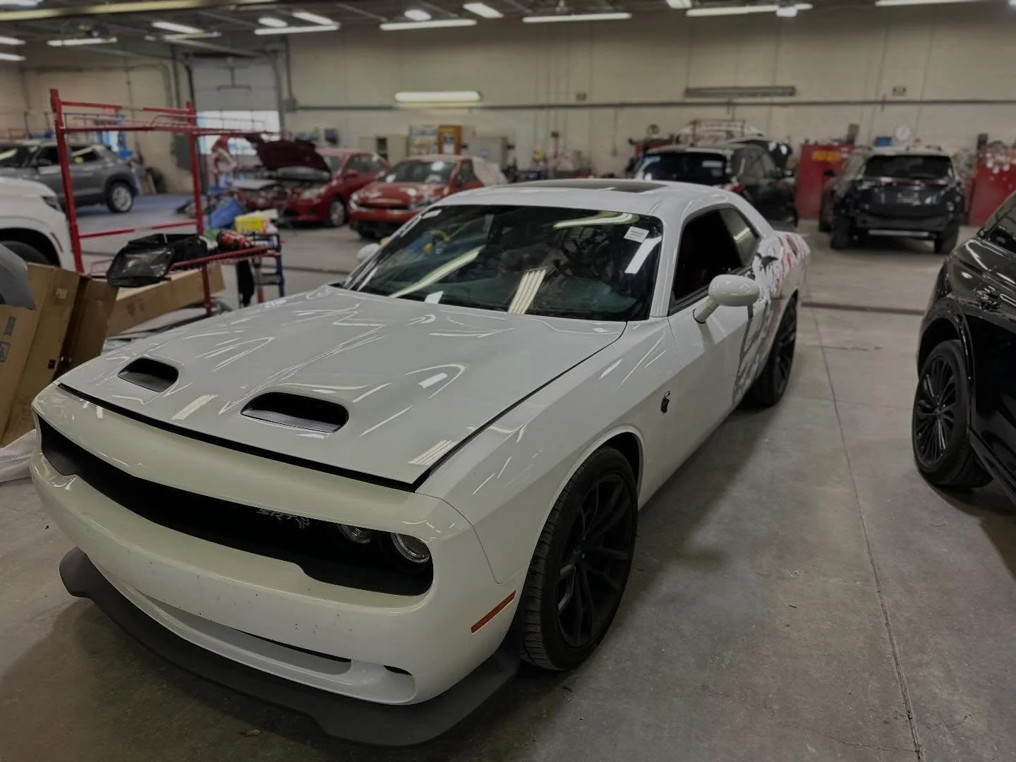 Unfortunately no burnouts were performed at time of service. - Windshield replaced 👍 burnouts performed 👎