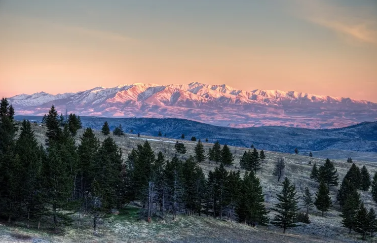 Snow-capped mountains in the background with a forested hillside in the foreground at sunset