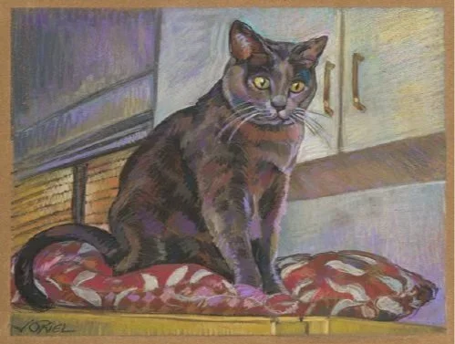 "Bebe" 12"x 16" Pastel on paper