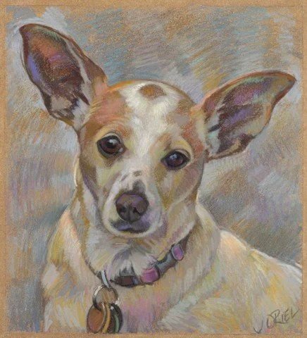 "Kiki" 10" x 9"  Pastel on paper