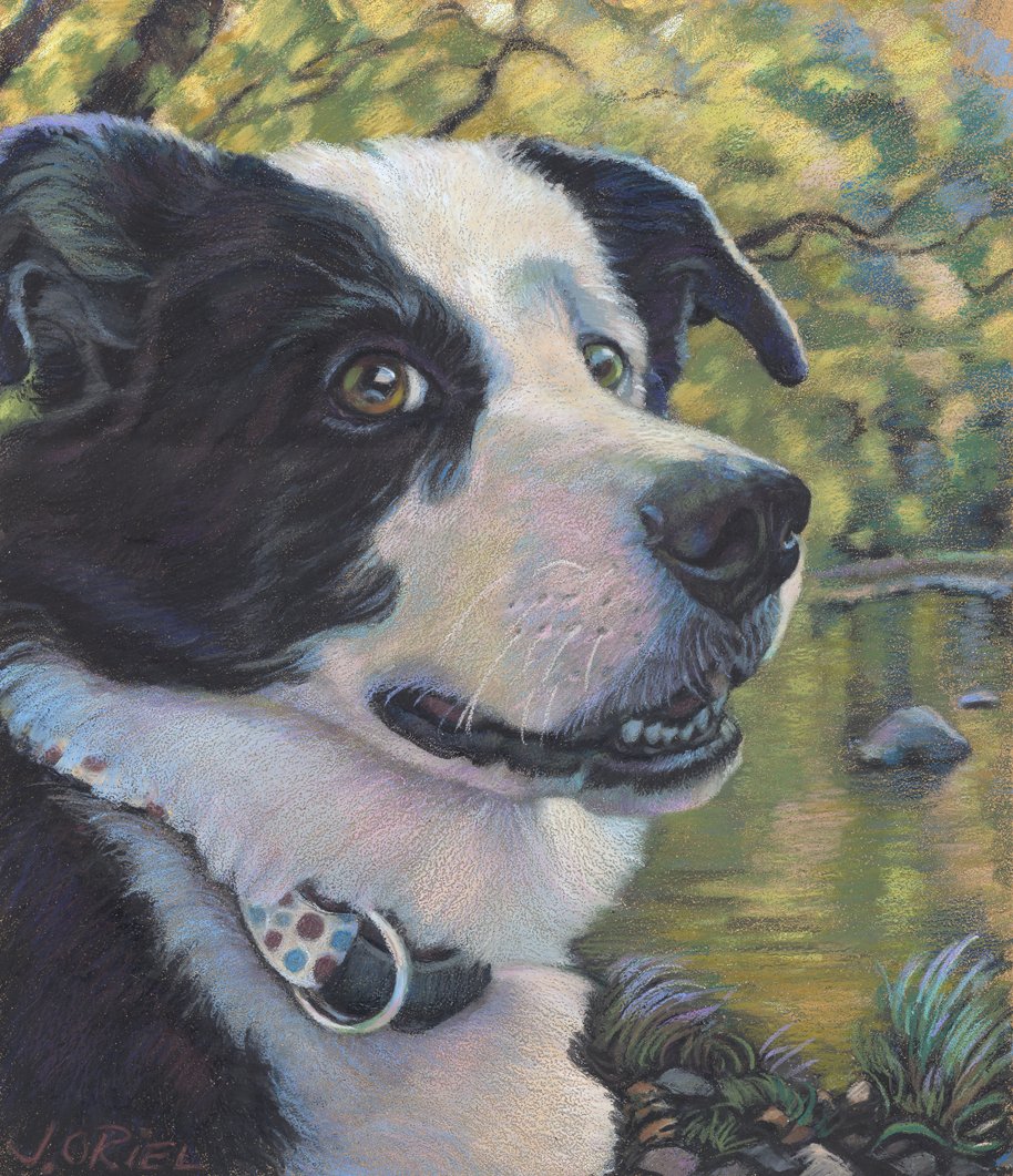 "Ojo" 14" x 16" Pastel on paper