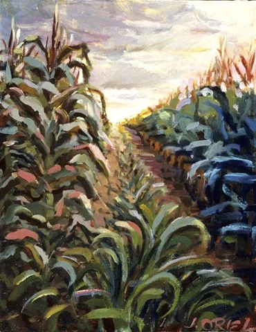 "Cornfield"  18" x 24"  Oil on canvas