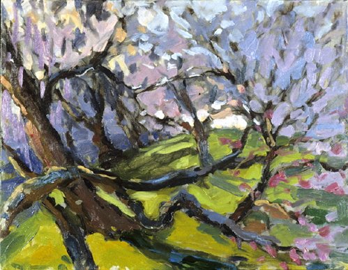 "Cherry Blossoms"  16" x 20"  Oil on canvas