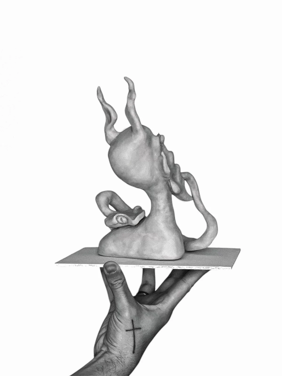 WhatsApp Image 2026-02-04 at 09.20.32.jpeg