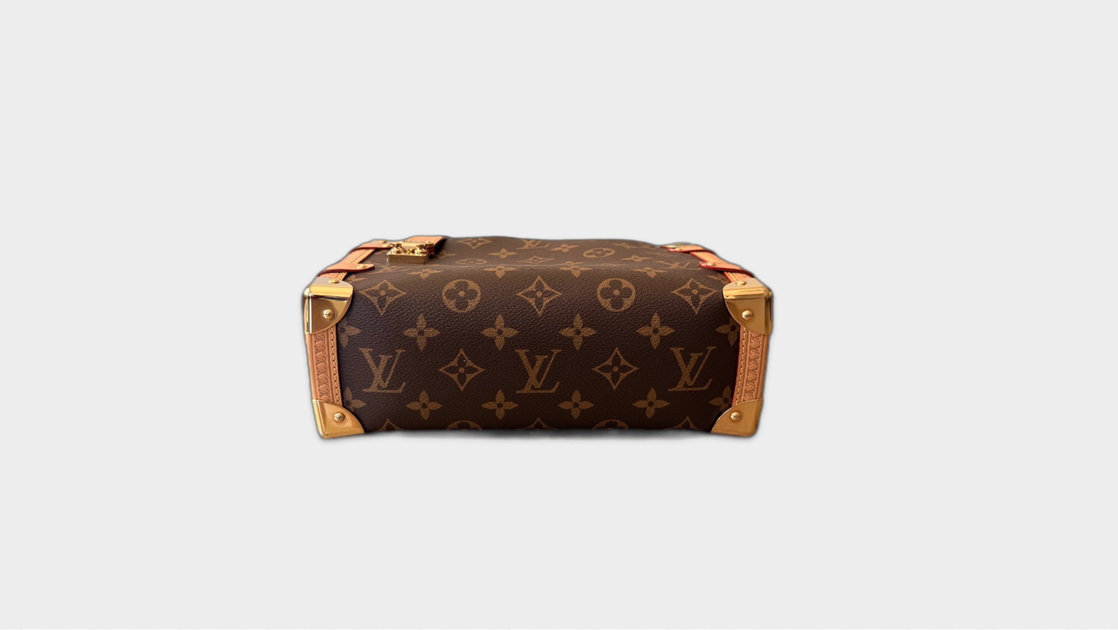 lv-side-trunk-mm-5