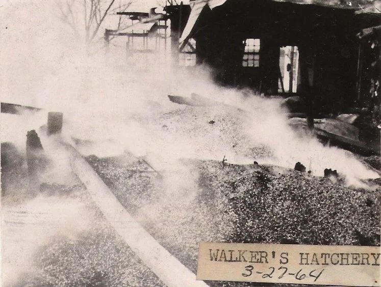 Black and white photo of a burned-down building with smoke and debris, labeled 'Walker’s Hatchery' with the date 3-22-64.