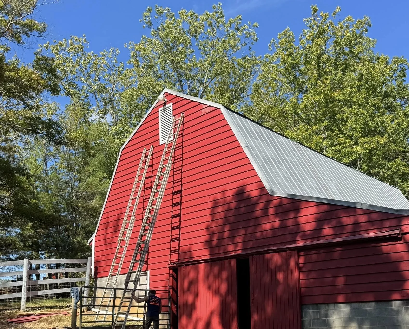 A red barn with a metal roof, surrounded by trees under a clear blue sky, with two ladders leaning against the barn.