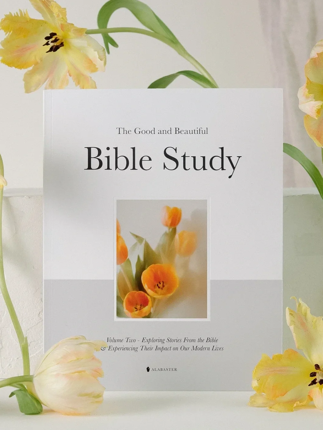 The Good and Beautiful Bible Study