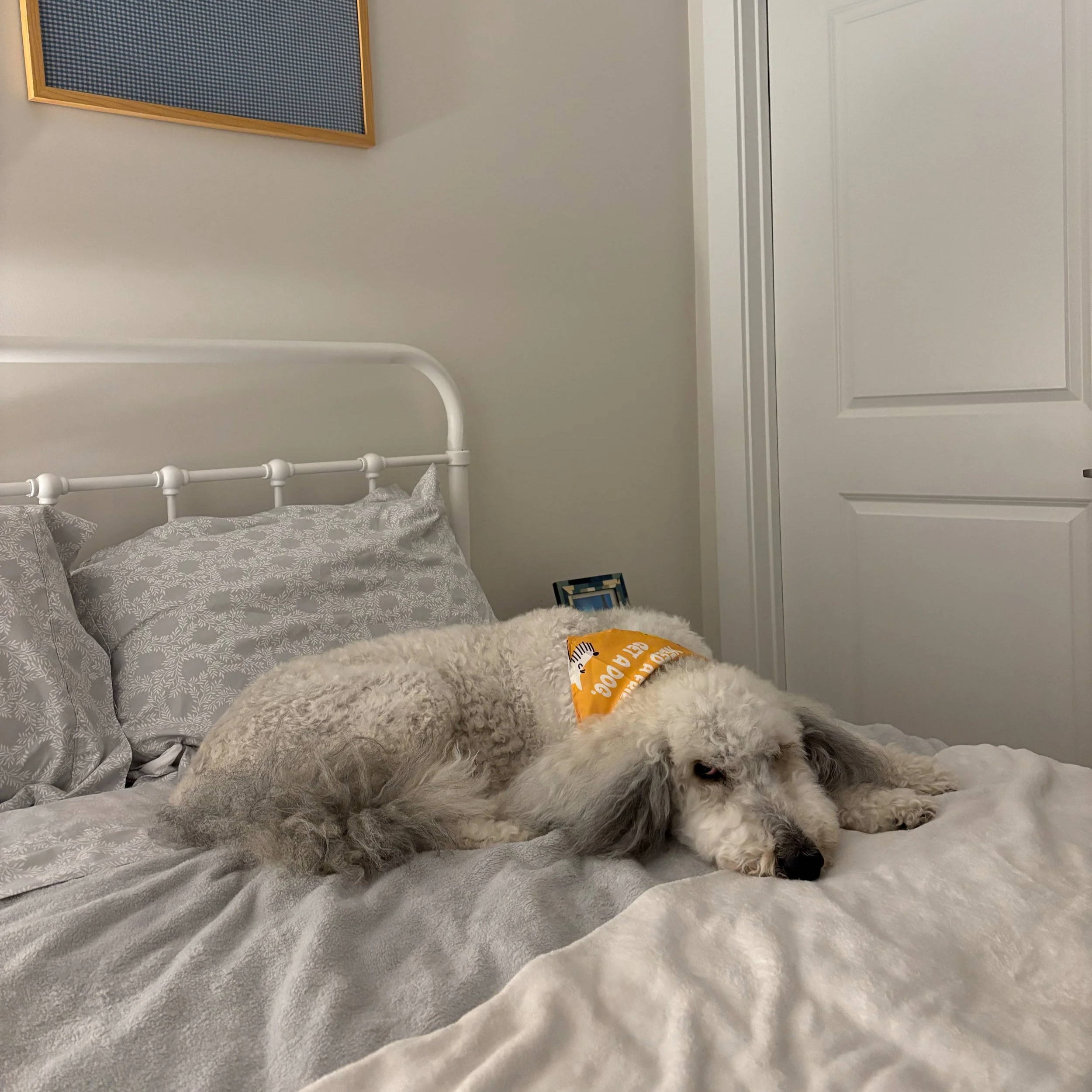 a girl’s first true friend.