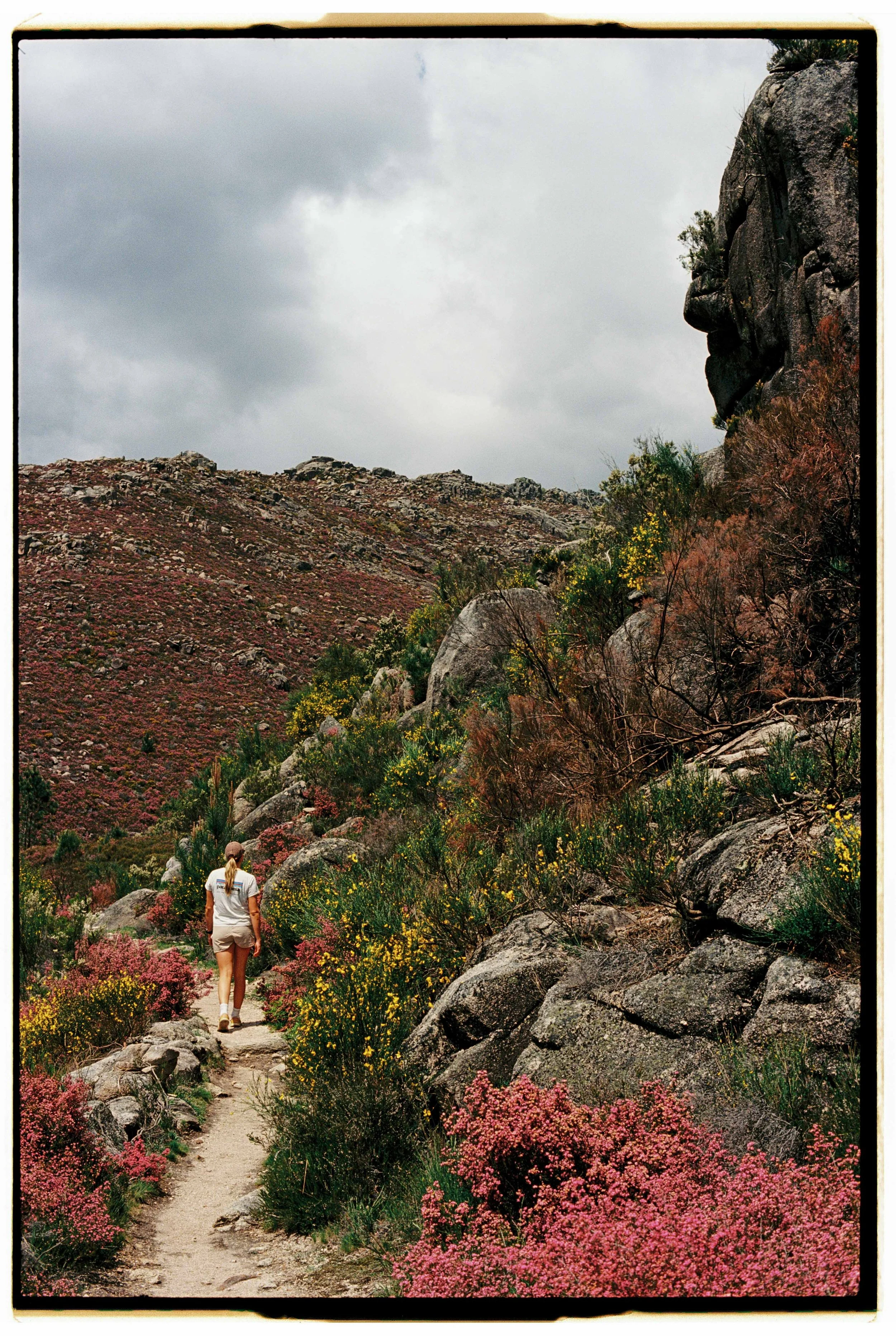 Blair Eastwood-20.jpg