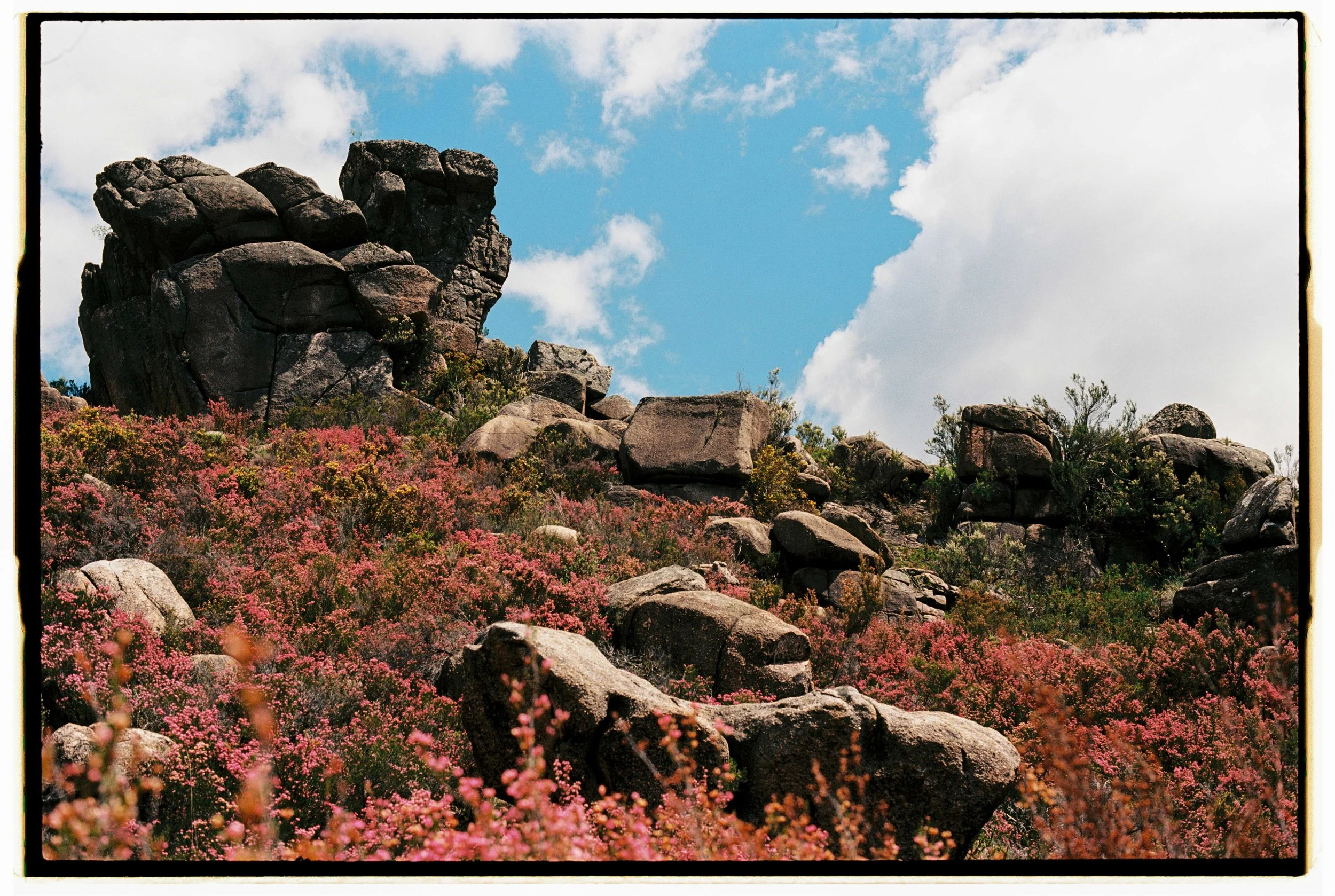 Blair Eastwood-18.jpg