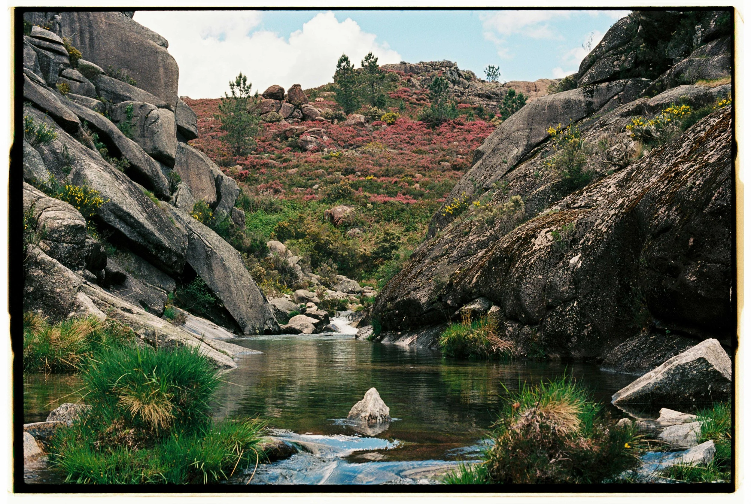 Blair Eastwood-24.jpg