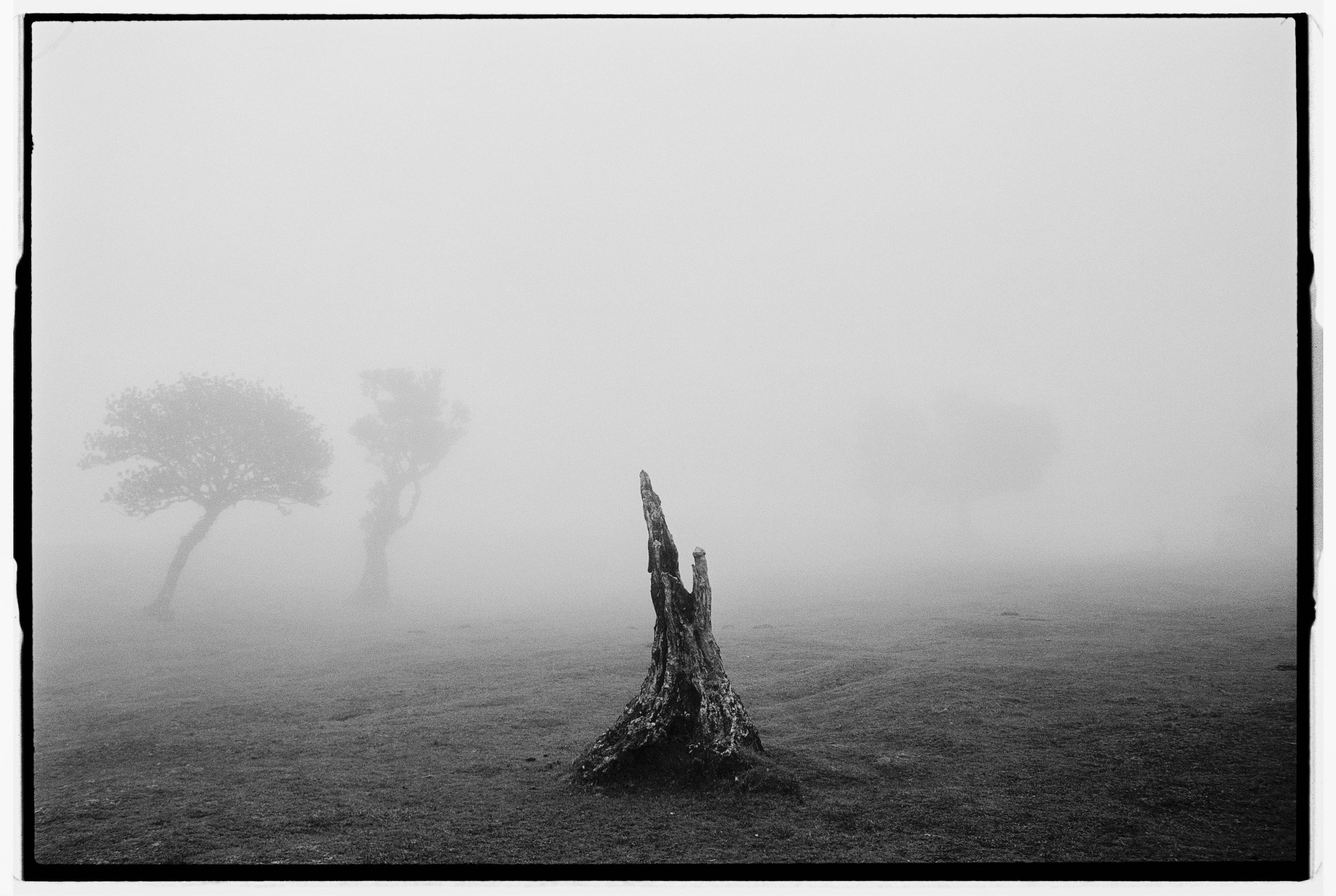 Blair Eastwood-22.jpg