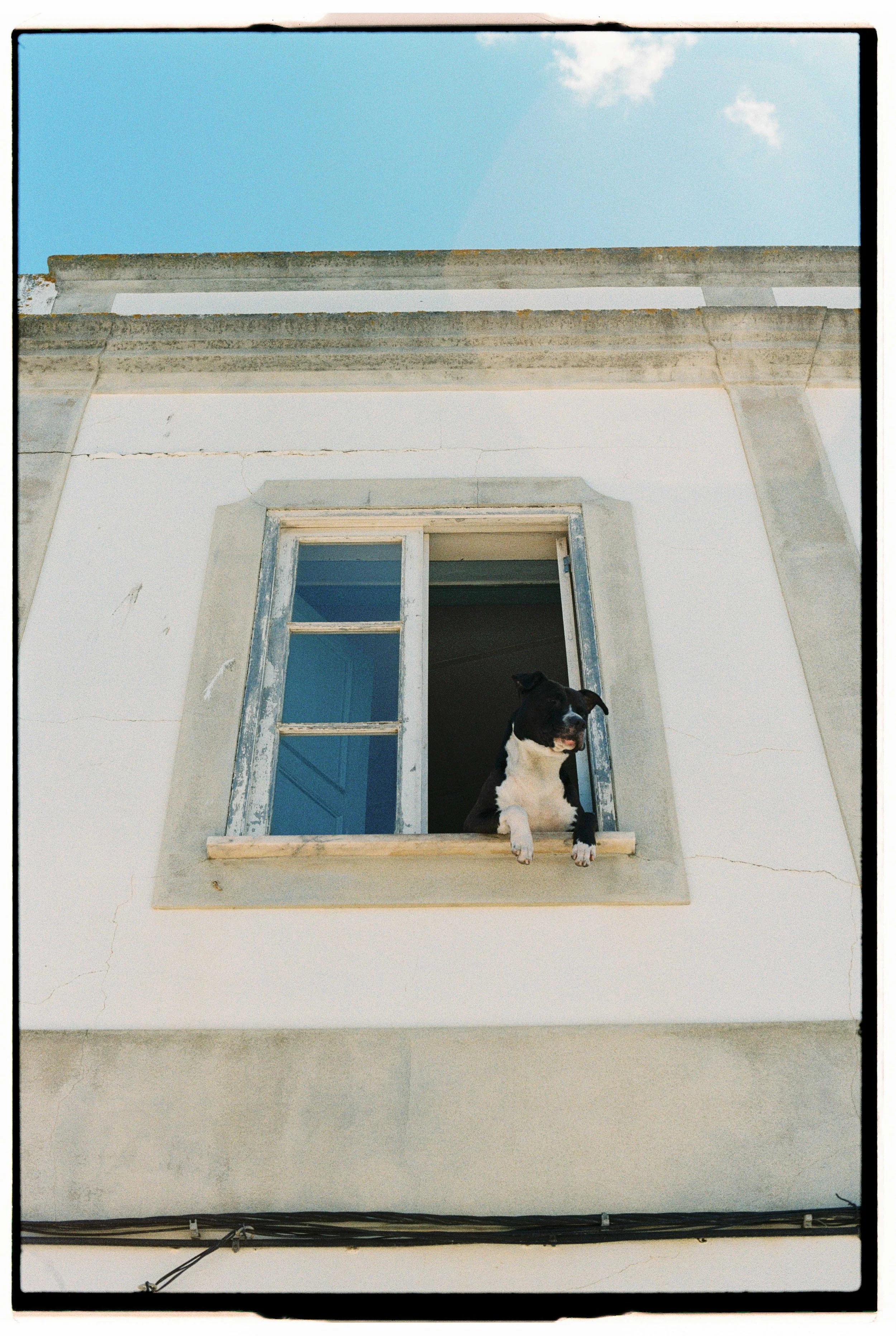 Blair Eastwood-46.jpg