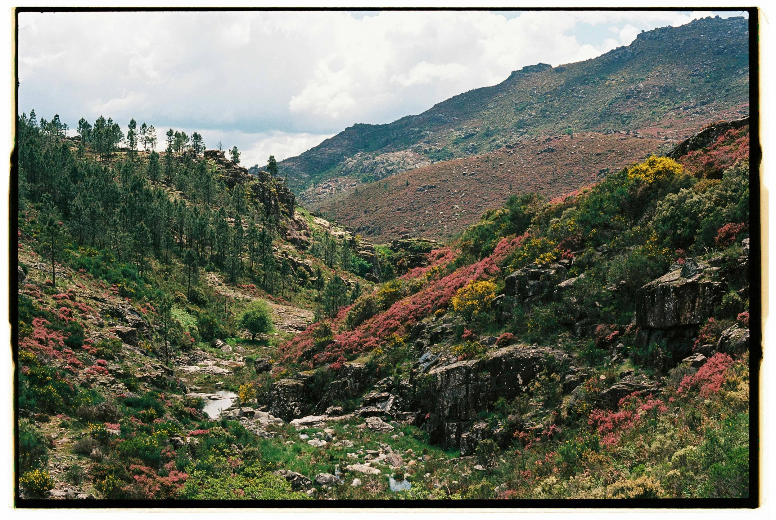 Blair Eastwood-26.jpg