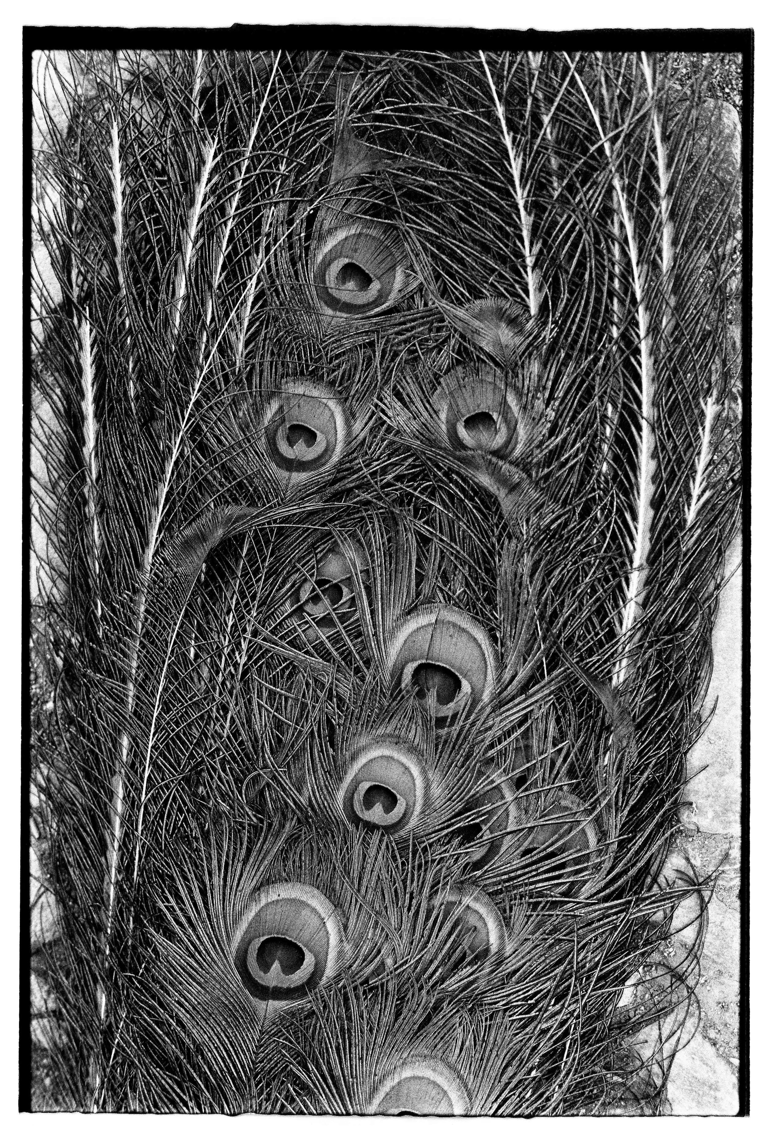 Blair Eastwood-13.jpg