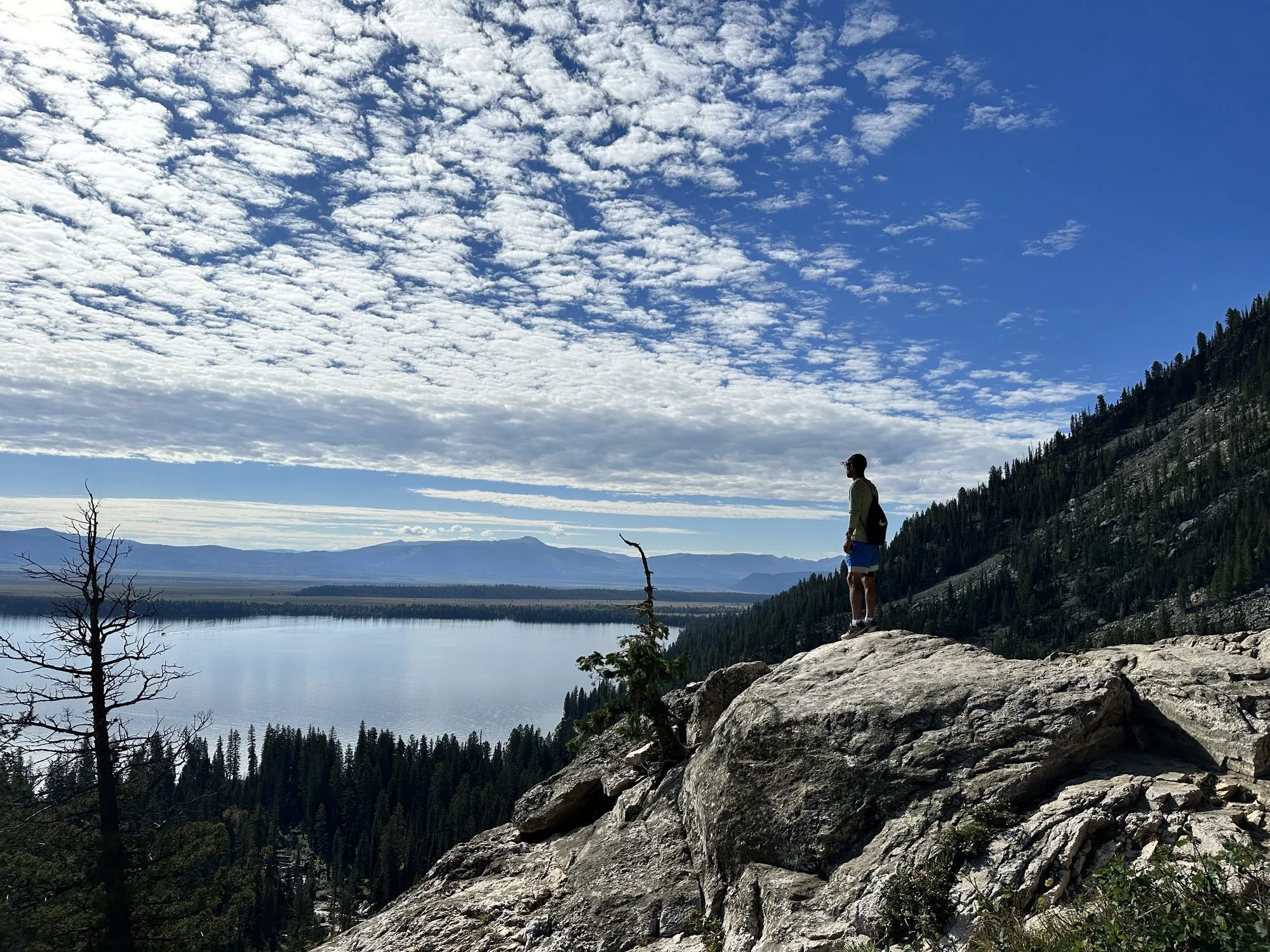 A person standing on a rocky ledge overlooking a large body of water, with forested mountains in the background, under a blue sky with scattered clouds.