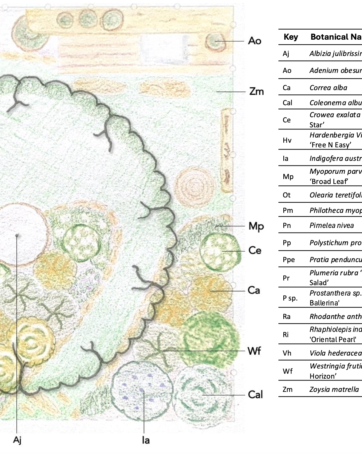 A botanical illustration showing various plant species with their scientific names listed in a key on the right side, including Albinia julibrissin, Adenium obesum, Correa alba, Coleonema alba, and others.
