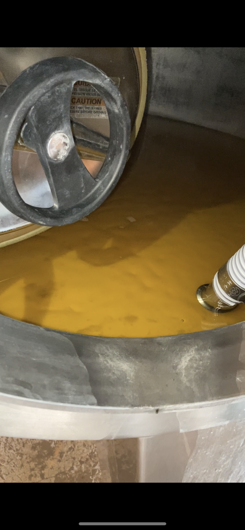 Elaboración de vino blanco en Aguascalientes, descargado