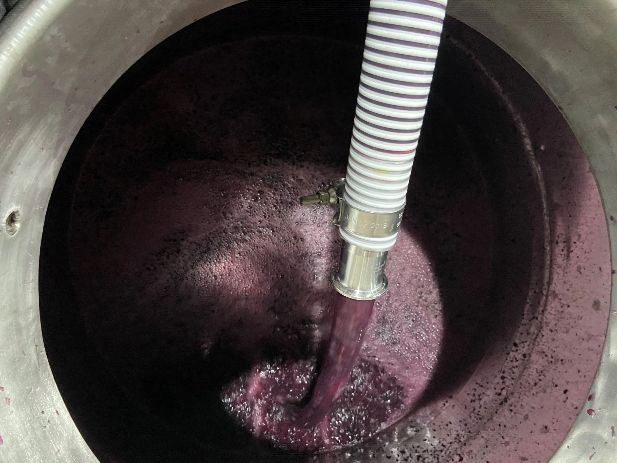 Elaboración de vino tinto en Aguascalientes, remontado
