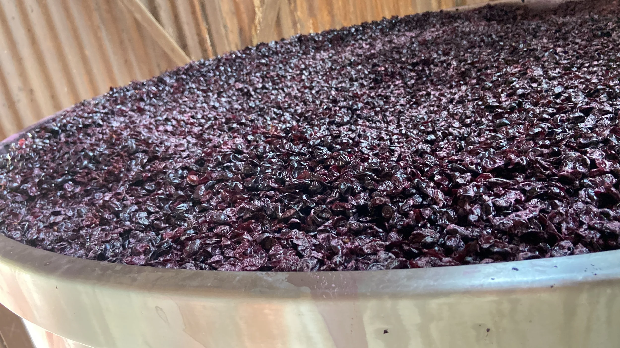 Pieles de uva en el sombrero de un tanque de fermentación en Aguascalientes
