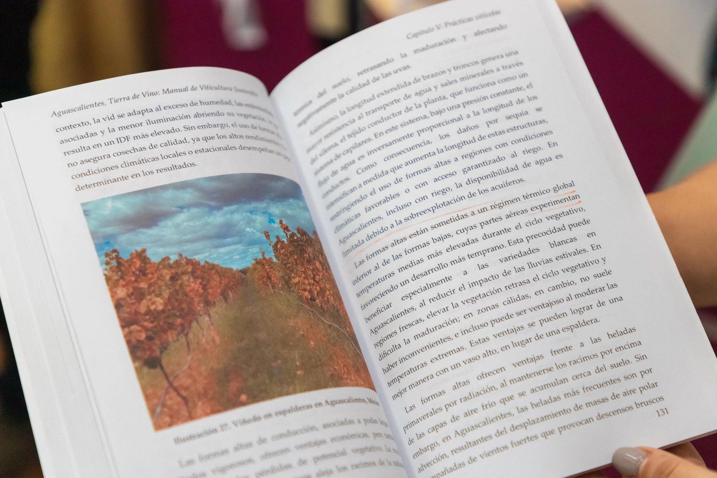 Libro abierto de viticultura sostenible
