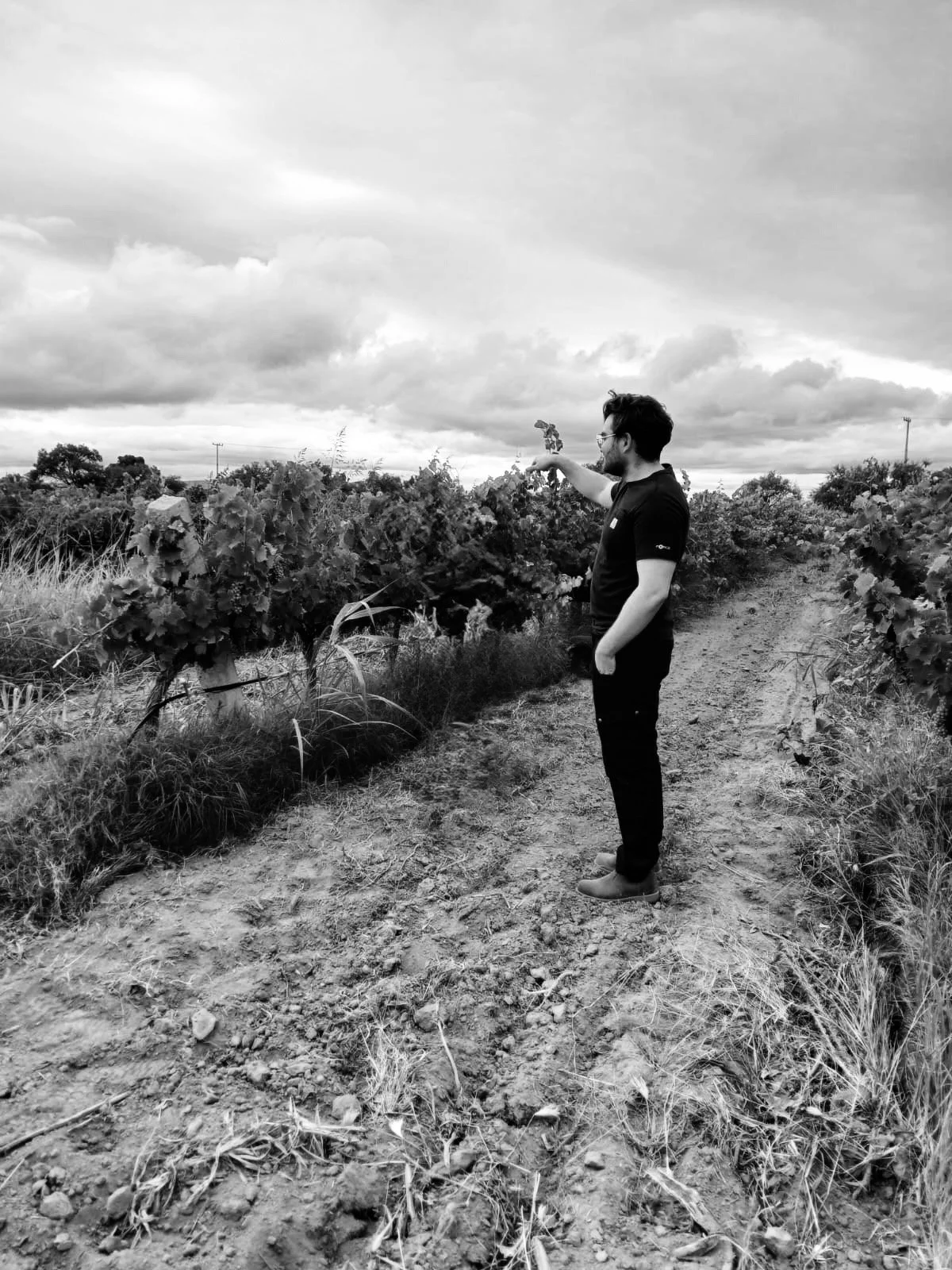 Winemaker Alejandro Martínez Aguascalientes
