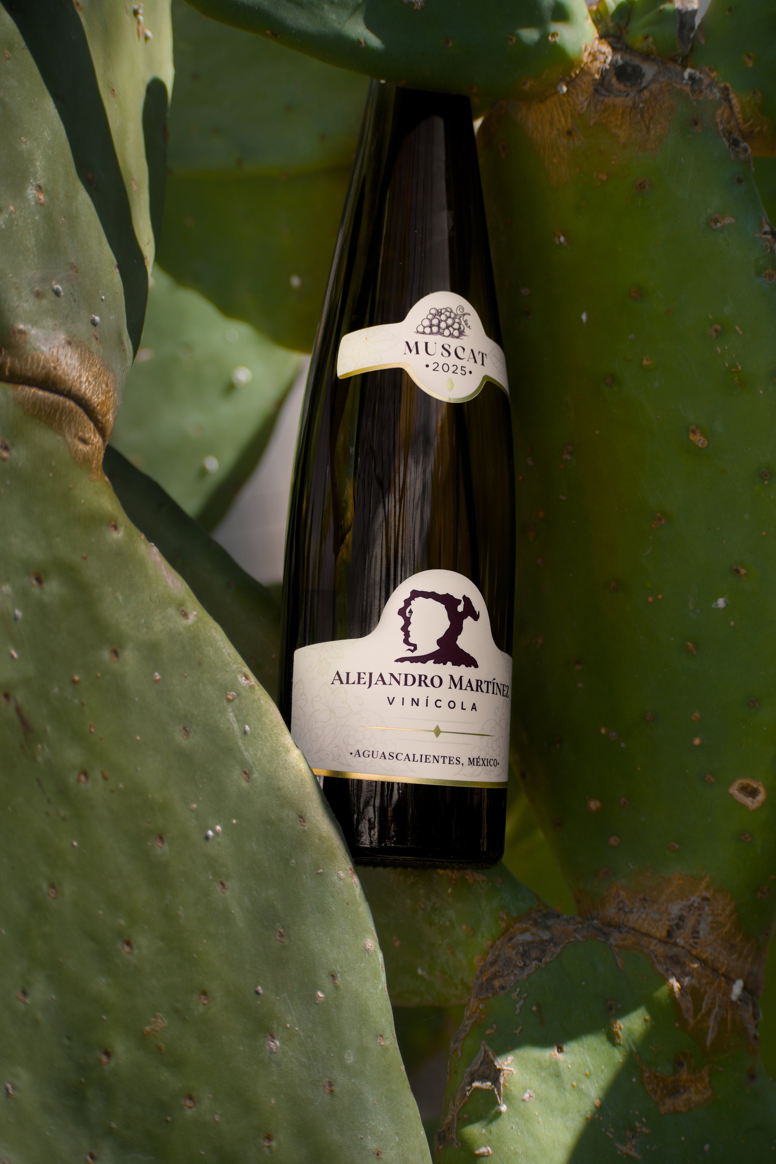 Vino Blanco de Aguascalientes de Muscat