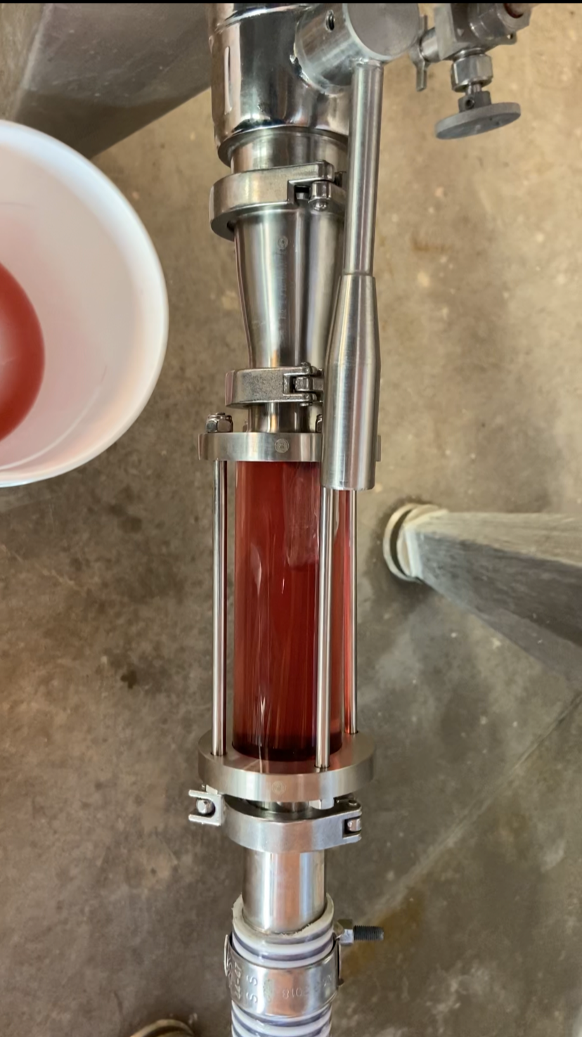 Elaboración de vino rosado en Aguascalientes, desfangado