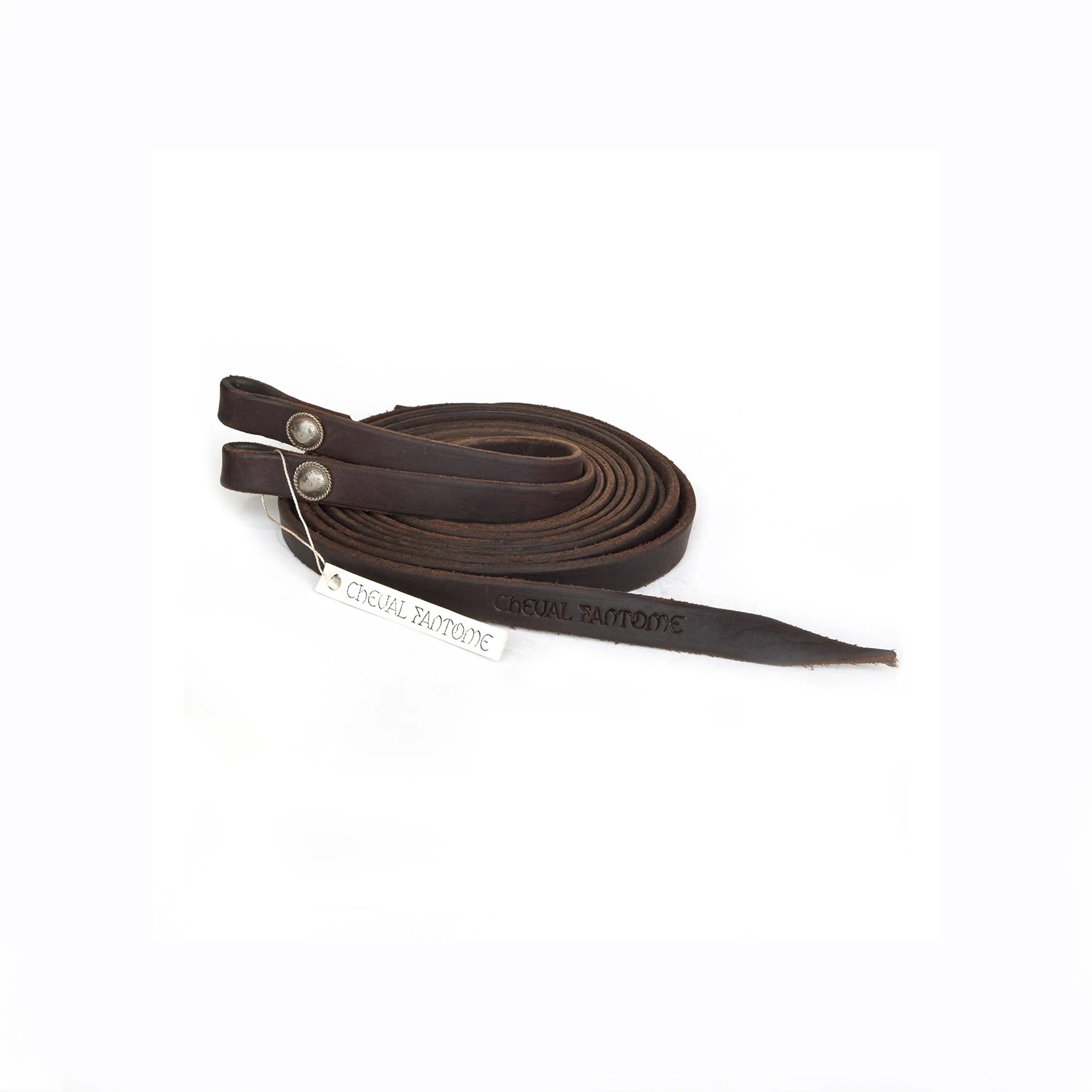 The Wild Line Leather Reins