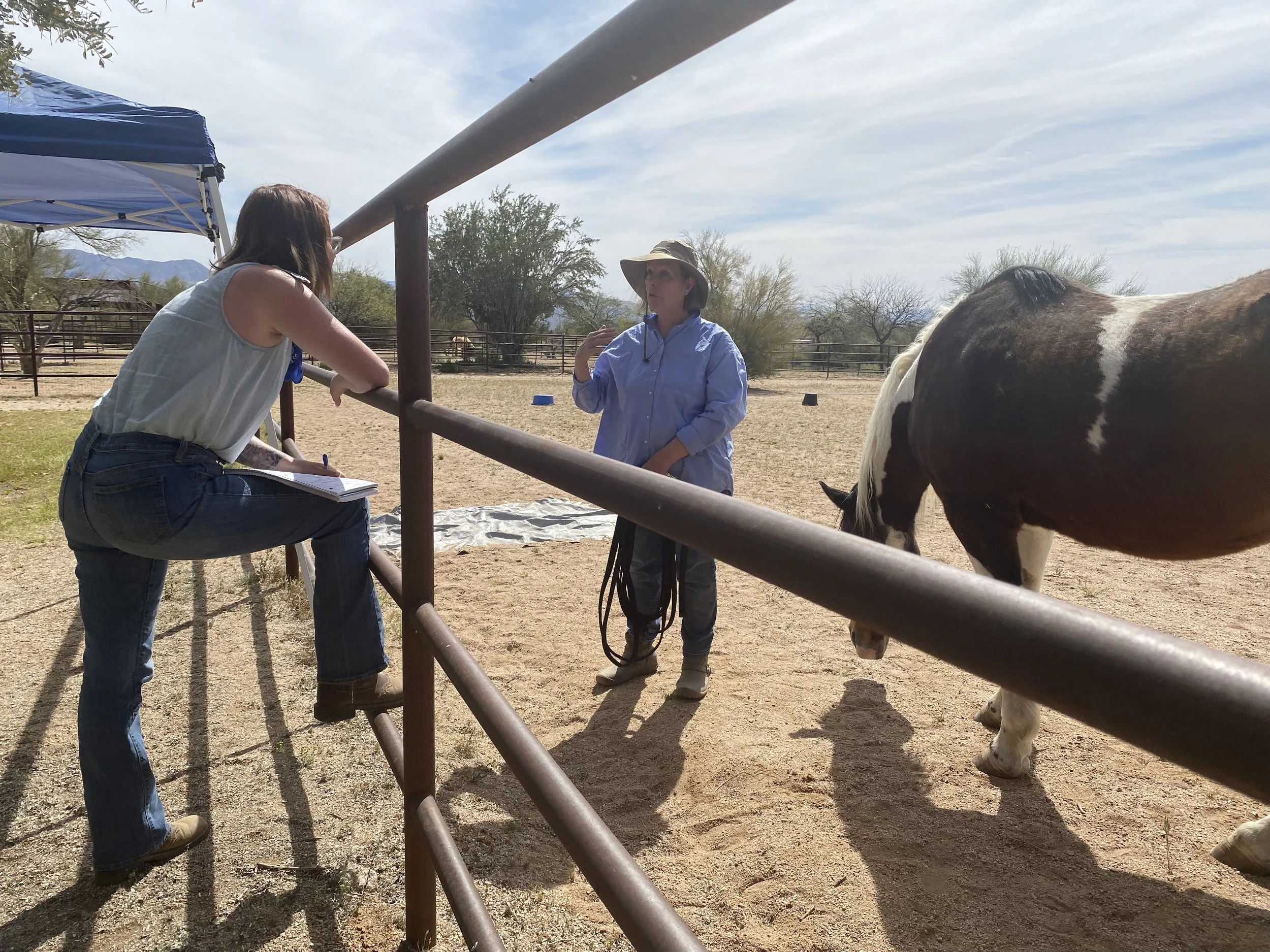 Equine facilitator Becca Flint working alongside horses at Revival Ranch.