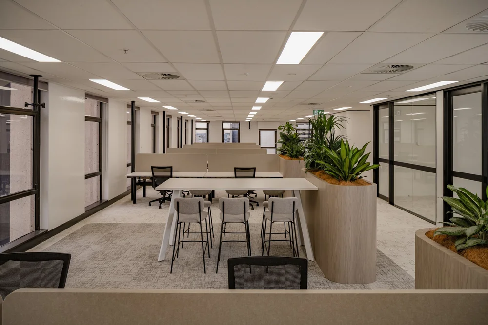 Kitchen bench, Level 20, 288 Edward Street