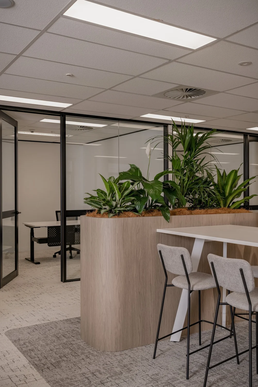 Planter and bar seating, Level 20, 288 Edward Street