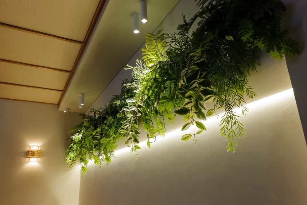 Planted feature wall, The Spinnaker