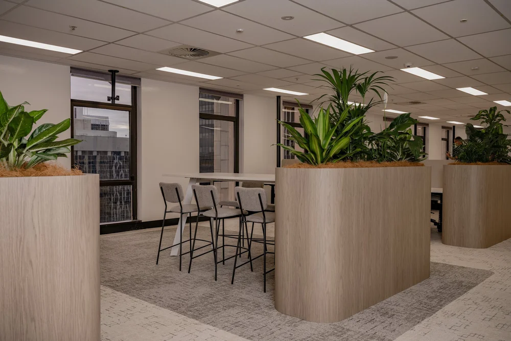 Bar height seating, Level 20, 288 Edward Street