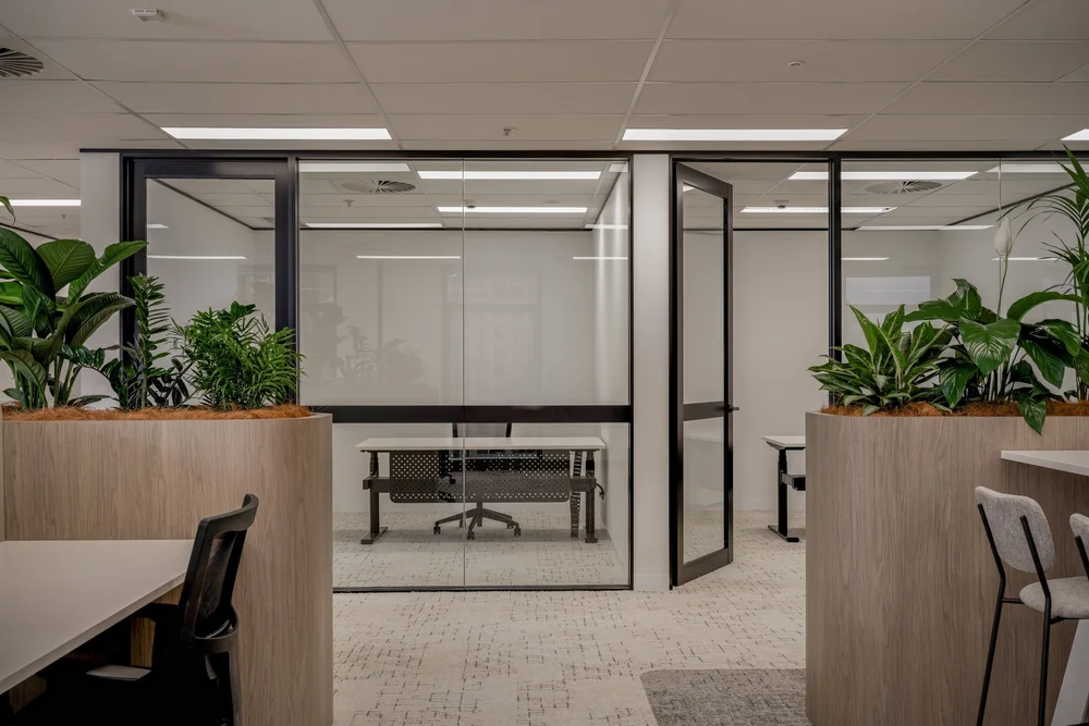 Glazed offices and planters, Level 20, 288 Edward Street