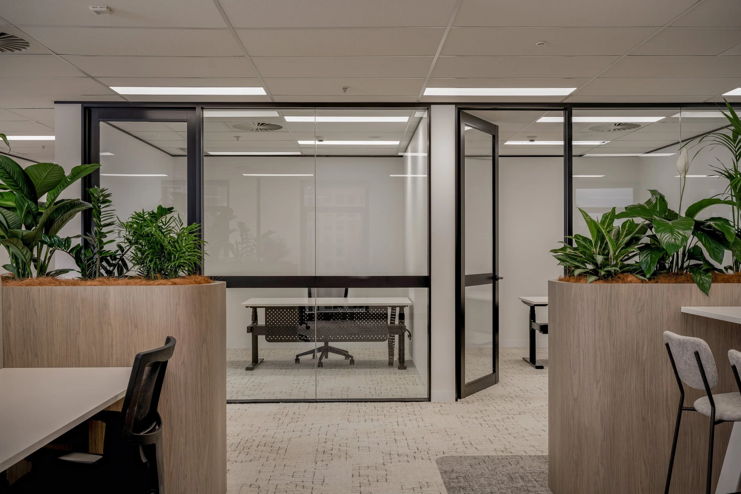 Glazed offices and planters, Level 20, 288 Edward Street