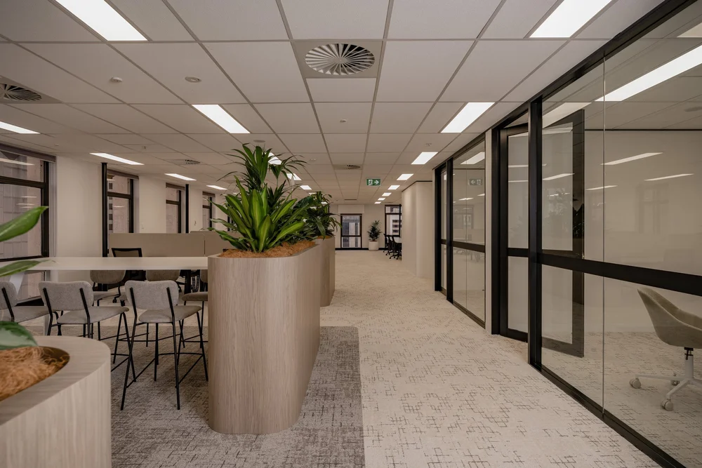 Workspace with planters, Level 20, 288 Edward Street