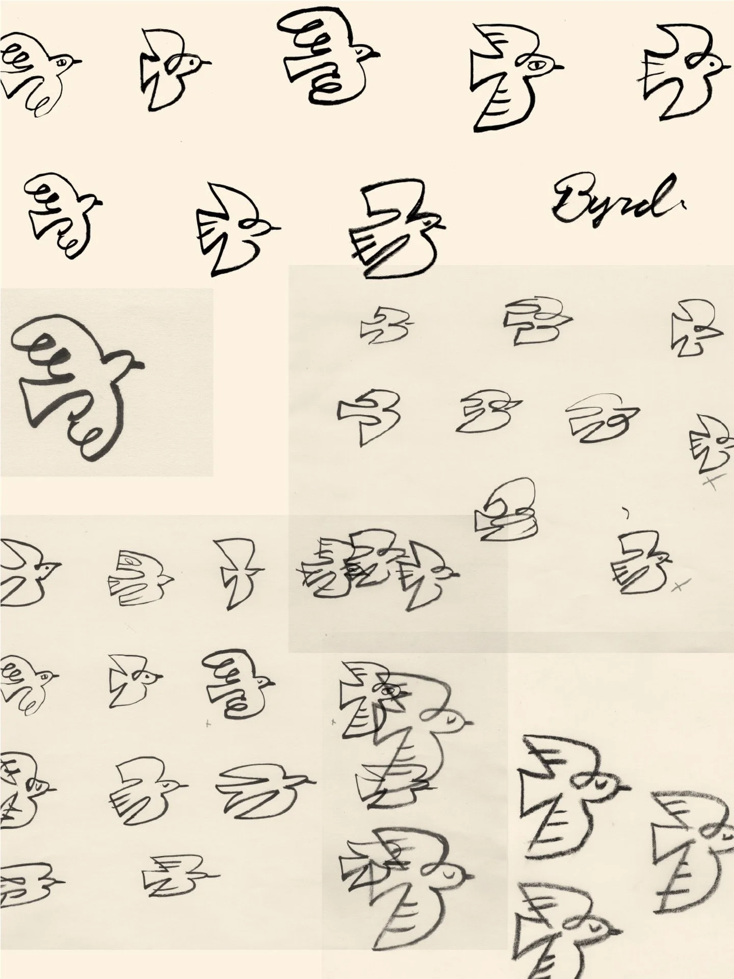 The many Byrd versions. @gregdrewthat 

#upperarlingtonsalon #columbusohio #ohiosalon #boothrental #asseenincolumbus