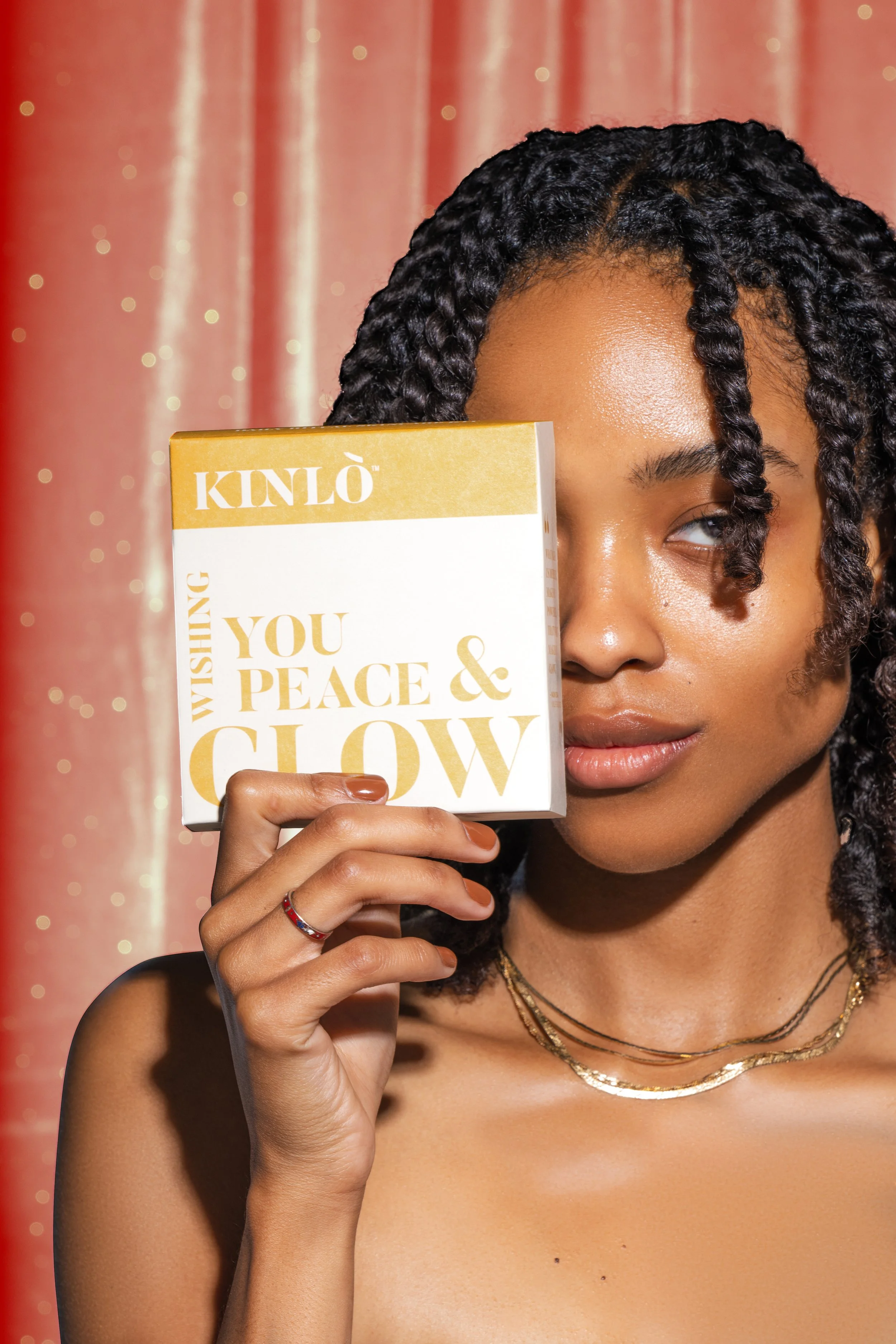 PERFORMANCE PARTNERSHIPS