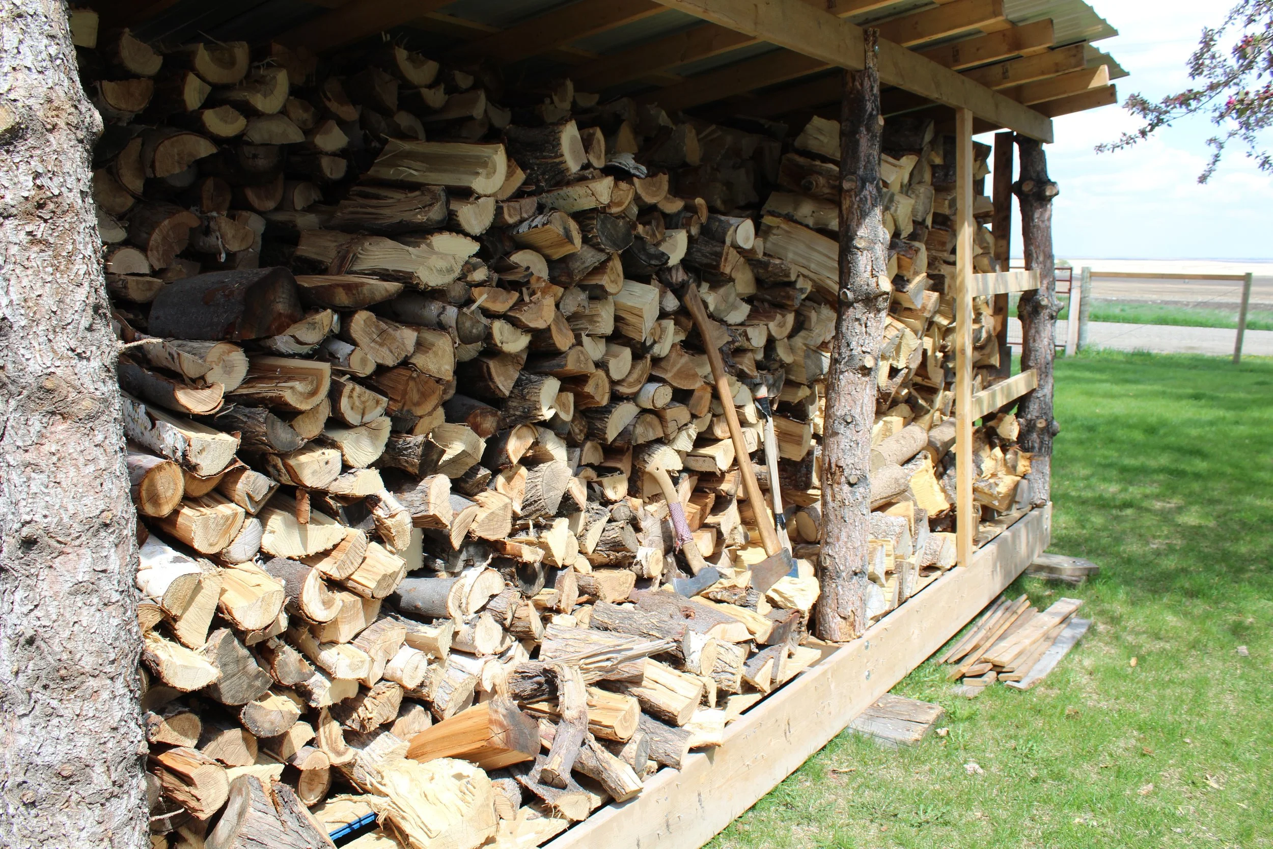 A large stack of split firewood stored under a wooden shelter in an outdoor grassy area with a fence in the background.