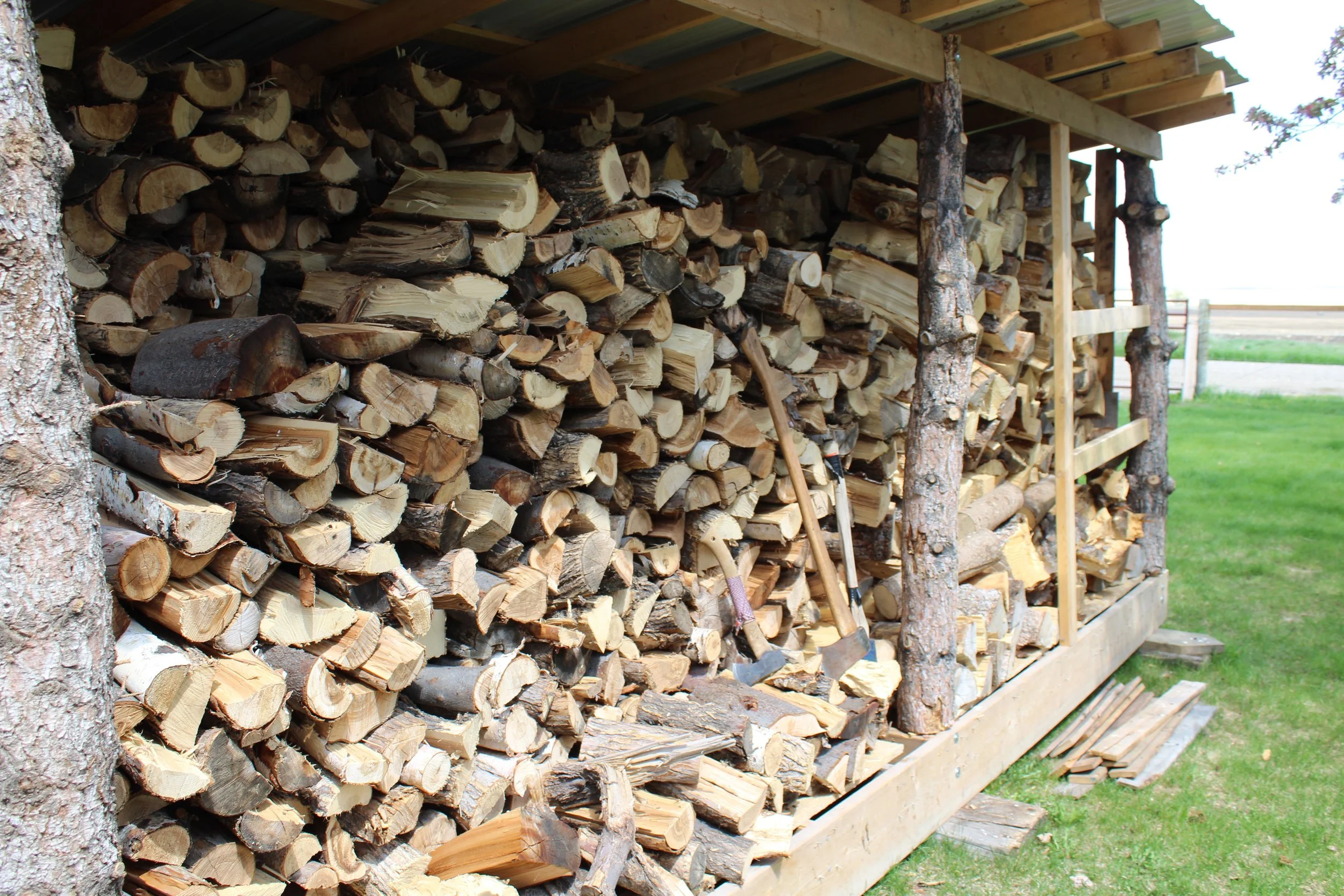 A wood storage shed filled with chopped firewood, supported by wooden and tree log posts, located on a grassy area outdoors.
