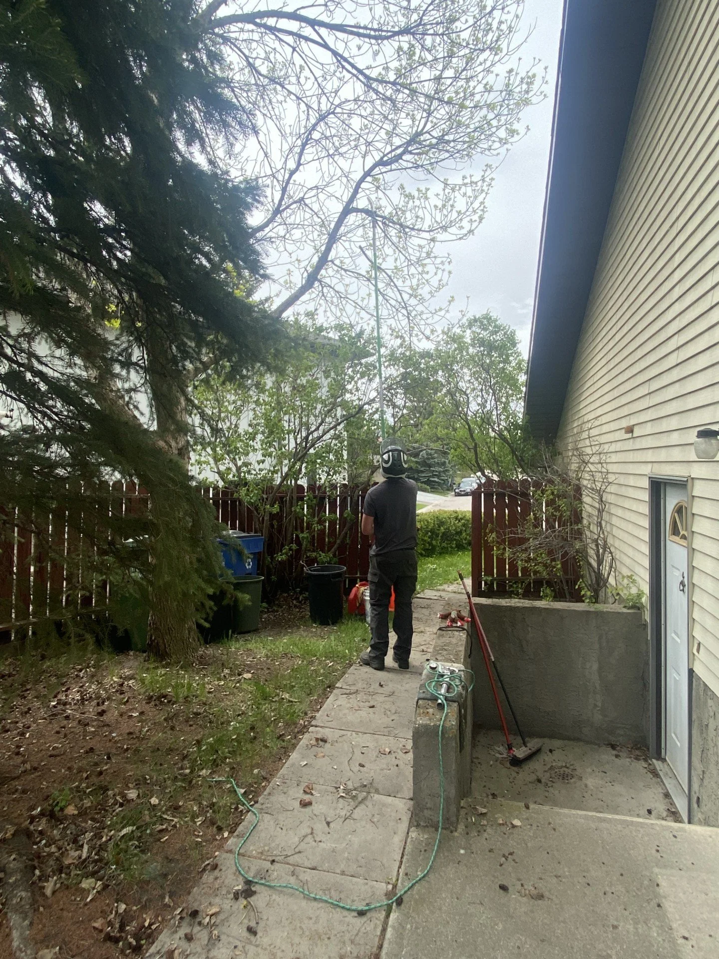 A person wearing a helmet stands on a sidewalk next to a house, holding a long pole with a hook, reaching into a tree. Various gardening and yard tools are nearby.