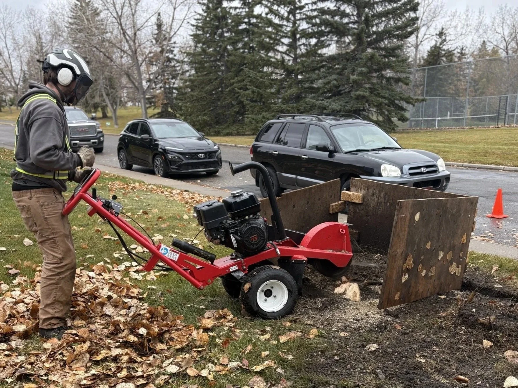 A worker using a stump grinder to remove tree stump, with parked cars and trees in the background.