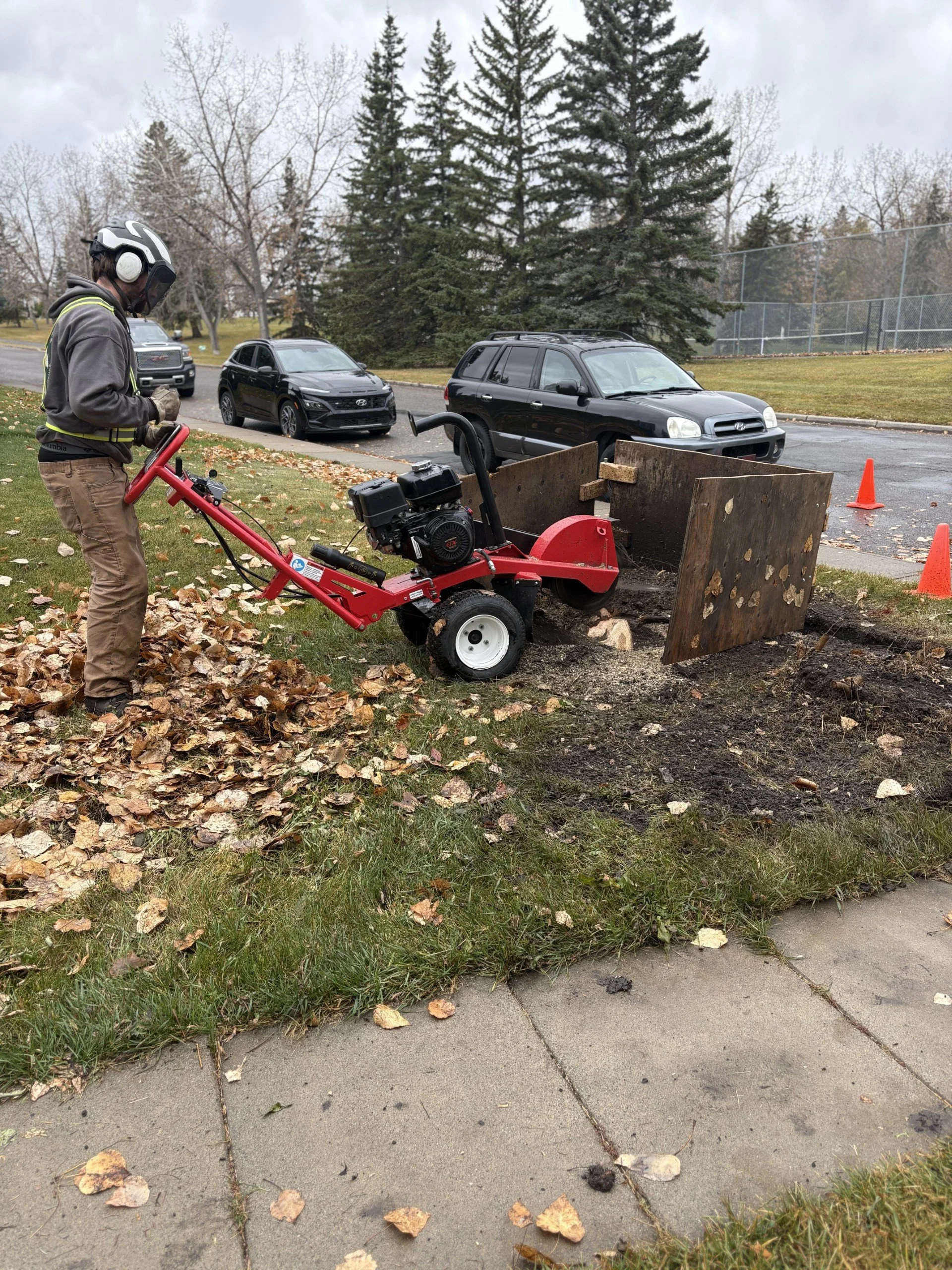 A person in protective gear uses a leaf shredder to mulch fallen leaves in a yard, with parked cars and a tennis court in the background on a cloudy day.