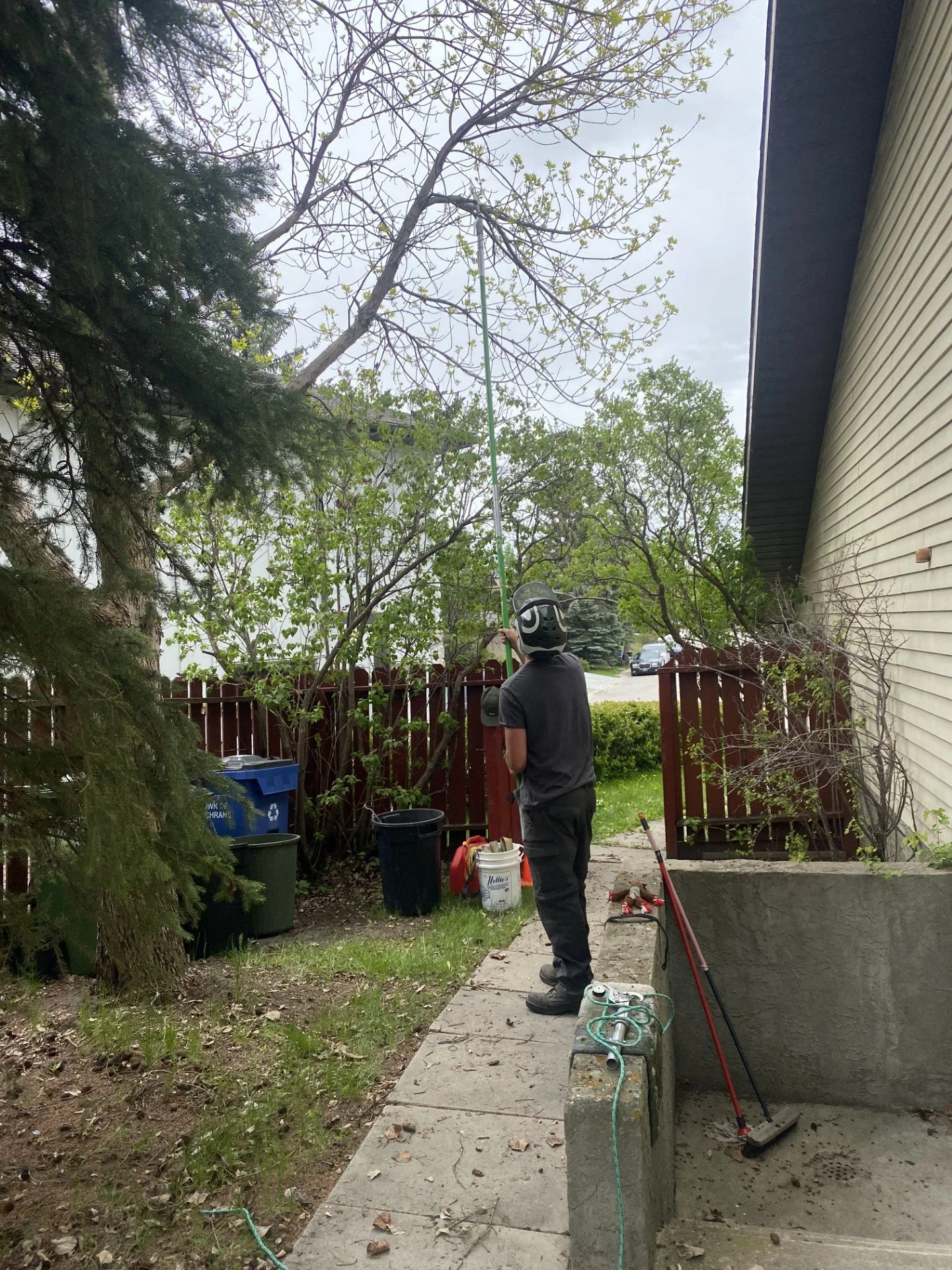 A person wearing a helmet is trimming a tree with a long pole saw in a backyard, near a house with a side wall.